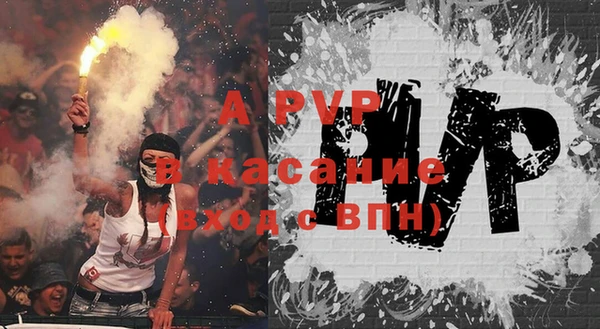 прущие грибы Абинск