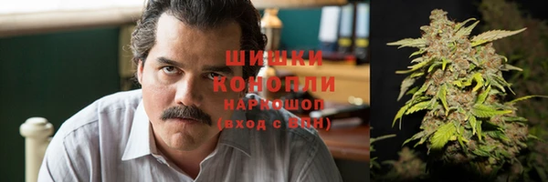 винт Алексин