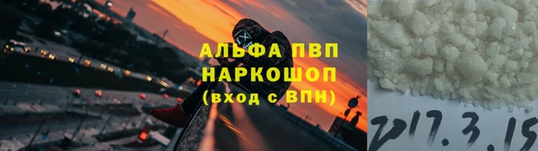 прущие грибы Абинск