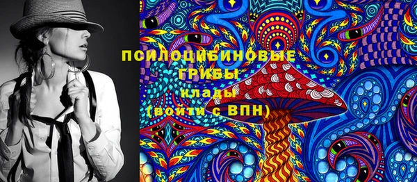 прущие грибы Абинск
