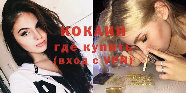 прущие грибы Абинск