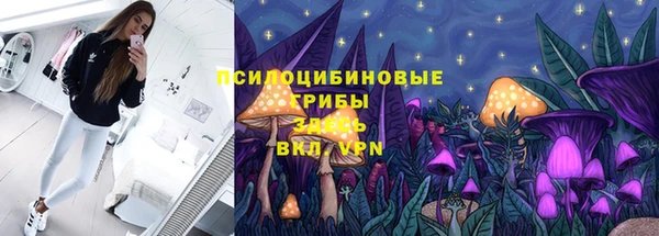 прущие грибы Абинск