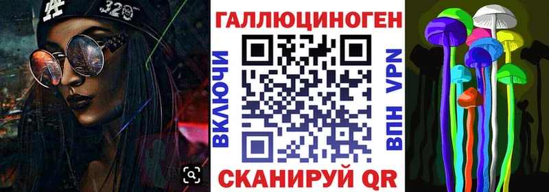 Галлюциногенные грибы Psilocybine cubensis  цена наркотик  Новоаннинский 